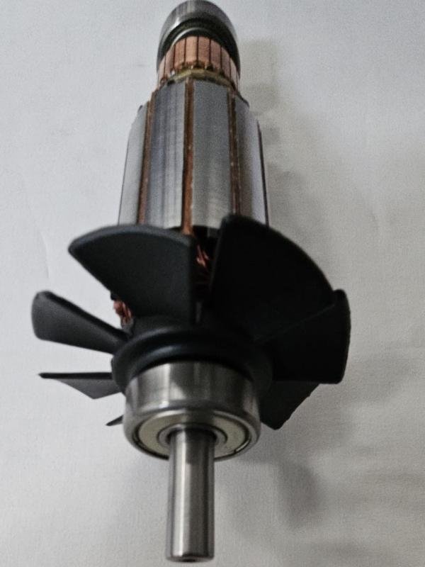 Inducido motor Raimondi